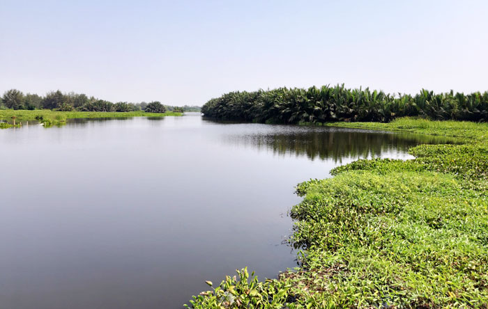 Sông Cổ Cò đoạn chảy qua tỉnh Quảng Nam