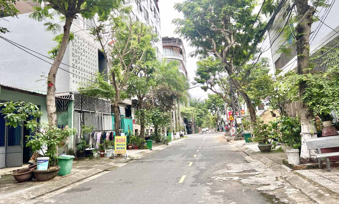 Thực tế lô đất đường Nguyễn Tư Giản (hình 2)